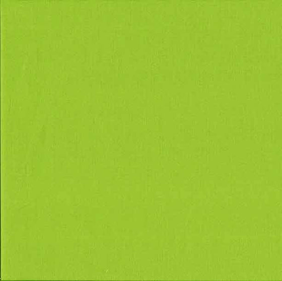 Makower Spectrum Plain Fabric Lime Green G45 F5572 - The Fabric Bee