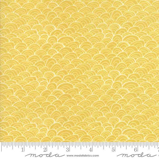 Moda Midnight Garden 36025 18 F6217 - The Fabric Bee
