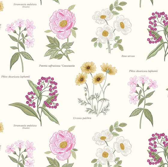 Lewis and Irene Botanic Garden A453.1 Flowers on Cream F6724