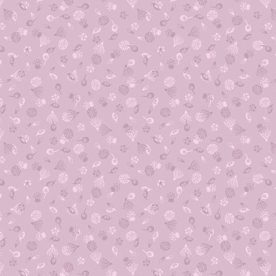 Lewis and Irene Botanic Garden A454.2 Seeds on Lilac F6725