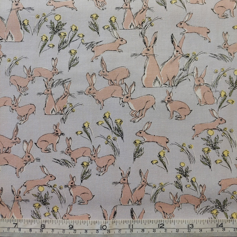 Hares F5806