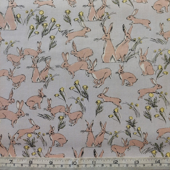 Hares F5806