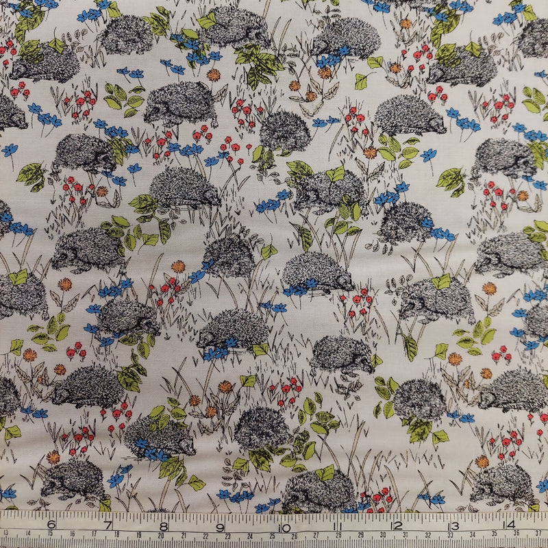 Hedgehogs F4627