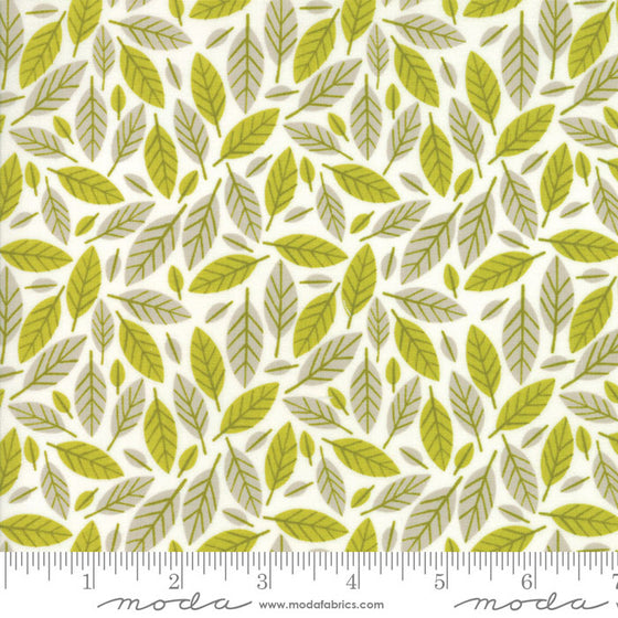 Moda Big Sky 16702 21 F6214 - The Fabric Bee