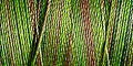 Guitermann Cotton Machine Embroidery 4020 - The Fabric Bee