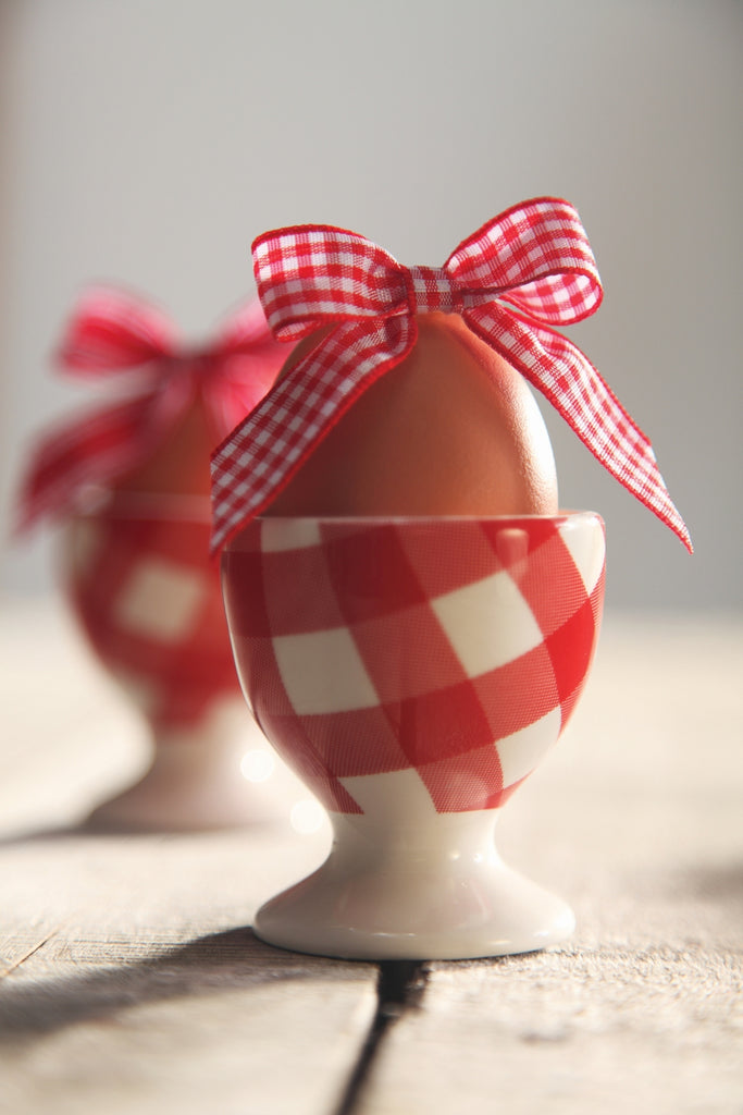 Gingham Ribbon Red - The Fabric Bee