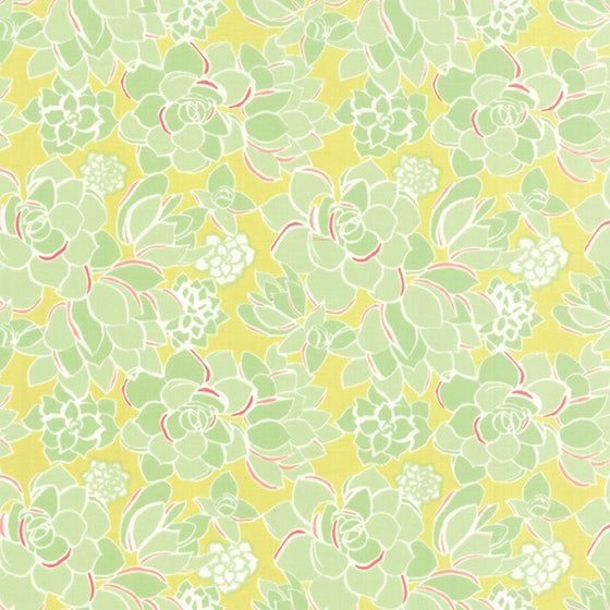 Moda Canyon F5292 - The Fabric Bee