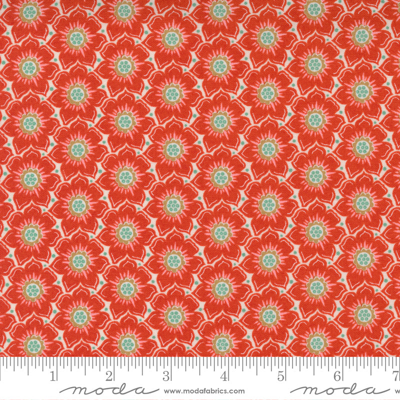 Moda 30674 17 Frankie by BasicGrey F7252