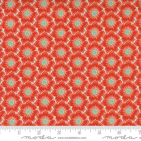 Moda 30674 17 Frankie by BasicGrey F7252