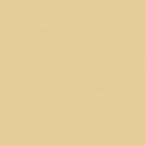 Makower Spectrum Plain Fabric Biscuit Q44 F4659 - The Fabric Bee