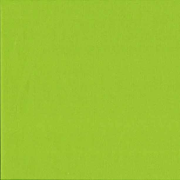 Makower Spectrum Plain Fabric Lime Green G45 F5572 - The Fabric Bee