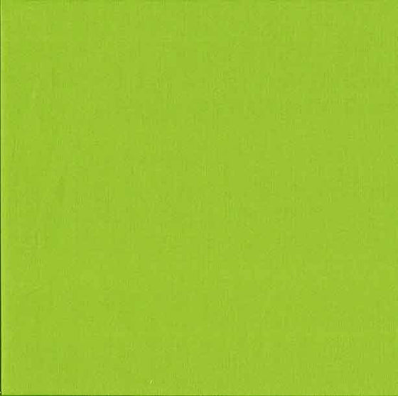 Makower Spectrum Plain Fabric Lime Green G45 F5572 - The Fabric Bee