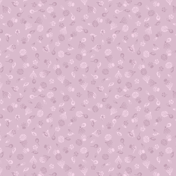 Lewis and Irene Botanic Garden A454.2 Seeds on Lilac F6725
